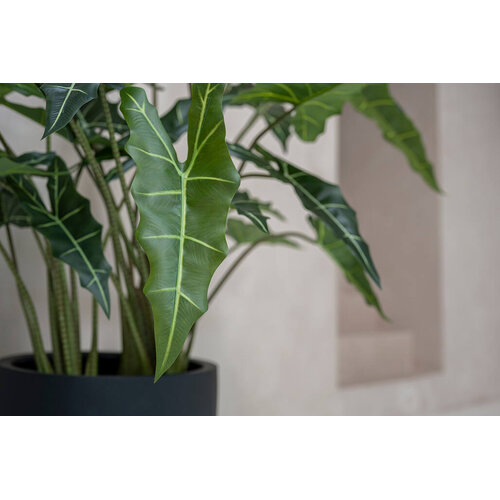 Pottery Pots Kunstplant - Alocasia taro M, Green