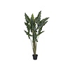 Kunstplant - Alocasia taro M, Green