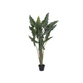 Pottery Pots Kunstplant - Alocasia taro M, Green