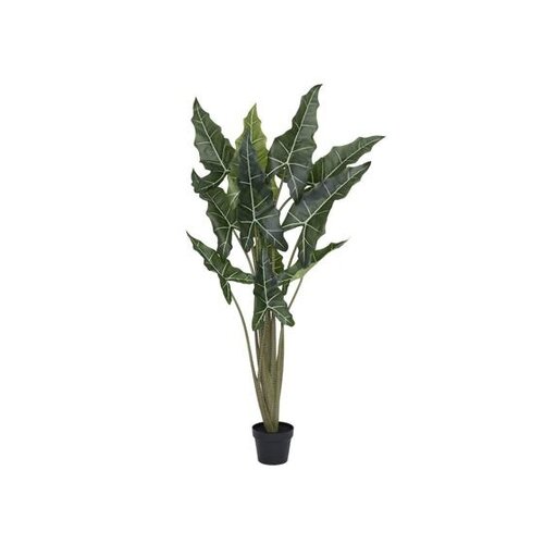 Pottery Pots Kunstplant - Alocasia taro M, Green
