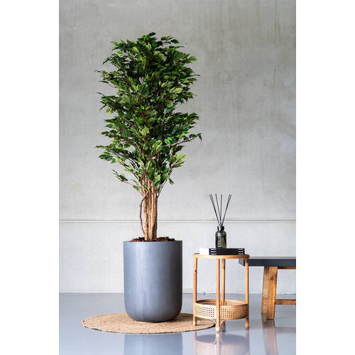 Pottery Pots Kunstplant - Ficus tree S, Green