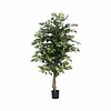 Kunstplant - Ficus tree L, Green