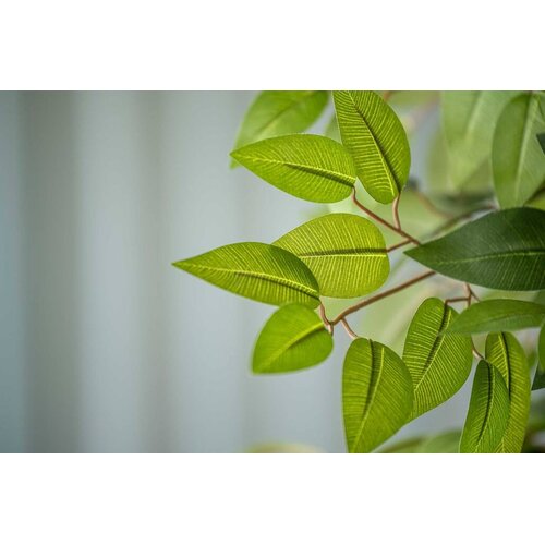 Pottery Pots Kunstplant - Ficus tree L, Green