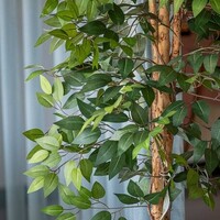 Pottery Pots Kunstplant - Ficus tree L, Green