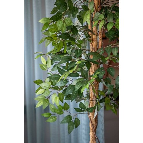 Pottery Pots Kunstplant - Ficus tree L, Green