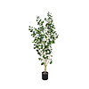 Kunstplant - Ficus Triangularis Tree L, Green