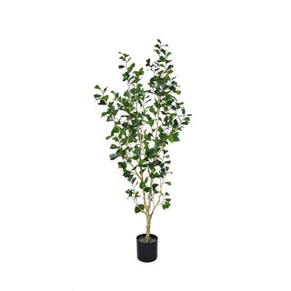Pottery Pots Kunstplant - Ficus Triangularis Tree L, Green