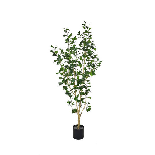 Pottery Pots Kunstplant - Ficus Triangularis Tree L, Green