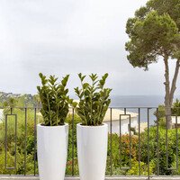 Pottery Pots Kunstplant - Zamioculcas M, Green
