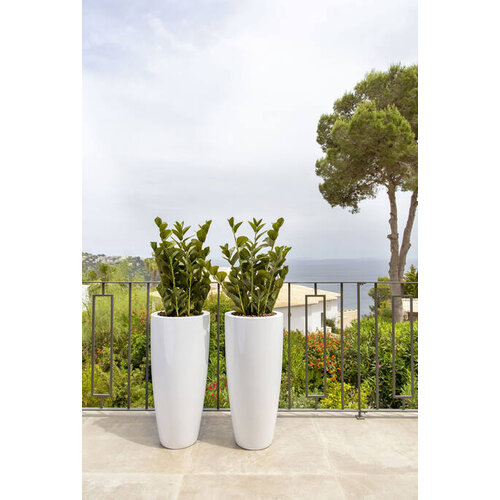 Pottery Pots Kunstplant - Zamioculcas M, Green