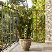 Pottery Pots Kunstplant - Zamioculcas M, Green