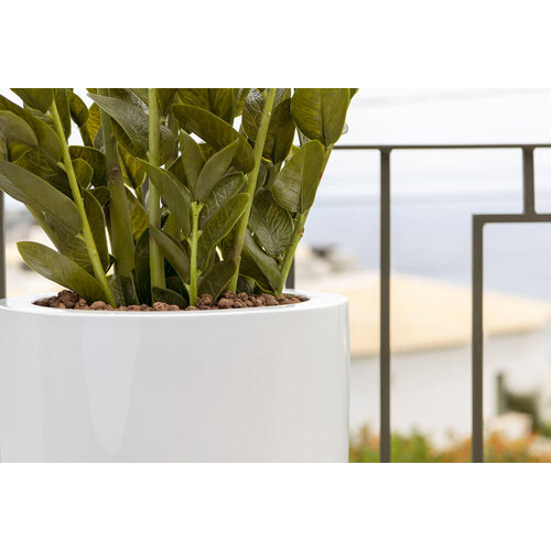 Pottery Pots Kunstplant - Zamioculcas M, Green