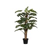 Kunstplant - Monstera Pertusum L, Green