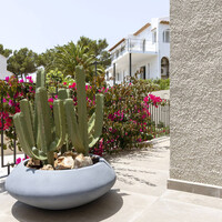 Pottery Pots Kunstplant - Cactus Cereus M, Green