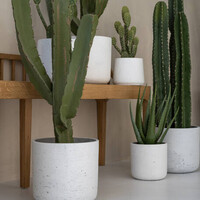 Pottery Pots Kunstplant - Cactus Cereus M, Green