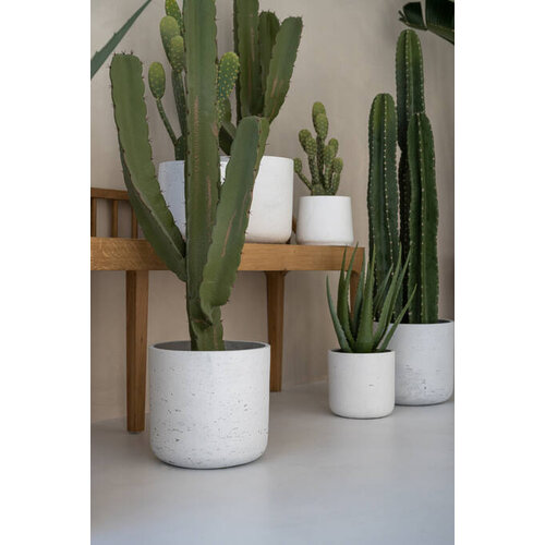 Pottery Pots Kunstplant - Cactus Cereus M, Green