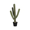 Kunstplant - Cactus Cereus M, Green