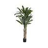 Kunstplant - Banana tree L, Green