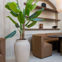 Pottery Pots Kunstplant - Banana tree L, Green