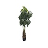 Kunstplant - Palm tree M, Green