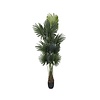 Kunstplant - Palm tree L, Green