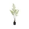 Kunstplant - Fern S, Green