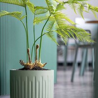 Pottery Pots Kunstplant - Fern S, Green