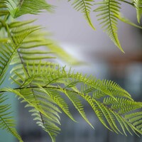 Pottery Pots Kunstplant - Fern S, Green