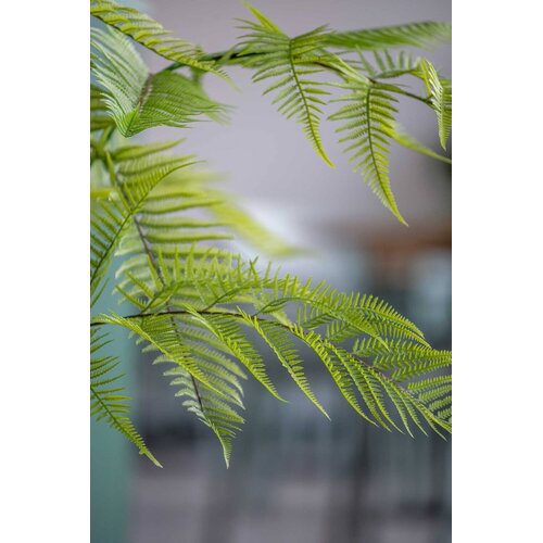 Pottery Pots Kunstplant - Fern S, Green