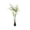 Kunstplant - Fern L, Green
