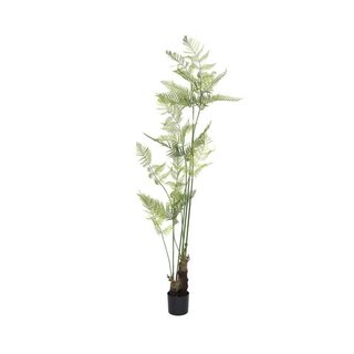 Pottery Pots Kunstplant - Fern XL, Green