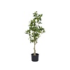 Kunstplant - Pieris S, Green