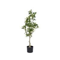 Pottery Pots Kunstplant - Pieris S, Green