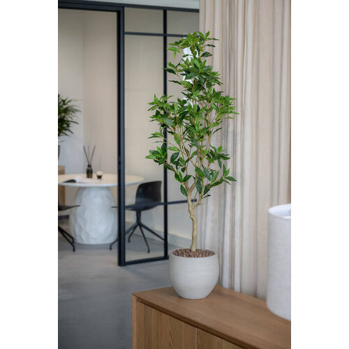 Pottery Pots Kunstplant - Pieris M, Green