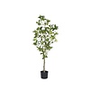Kunstplant - Pieris M, Green