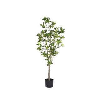 Pottery Pots Kunstplant - Pieris M, Green