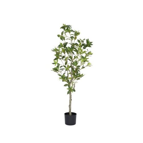Pottery Pots Kunstplant - Pieris M, Green