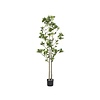 Kunstplant - Pieris L, Green