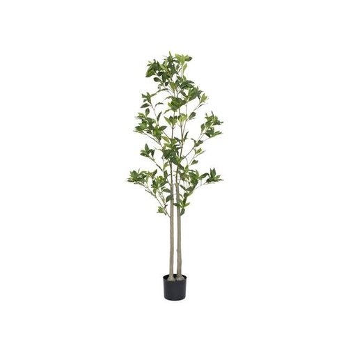 Pottery Pots Kunstplant - Pieris L, Green