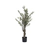 Kunstplant - Olive Tree S, Green
