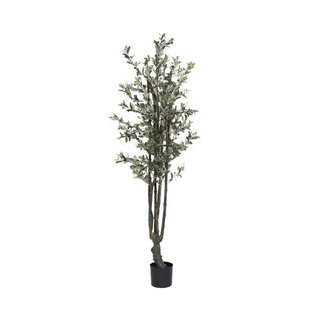 Pottery Pots Kunstplant - Olive Tree L, Green