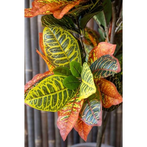 Pottery Pots Kunstplant - Codiaeum S, Green