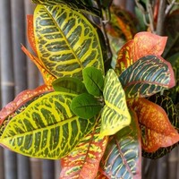 Pottery Pots Kunstplant - Codiaeum L, Green