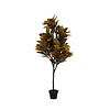 Kunstplant - Codiaeum L, Green