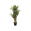 Kunstplant - Dracena S, Green