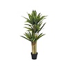 Kunstplant - Dracena M, Green
