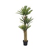 Kunstplant - Dracena L, Green