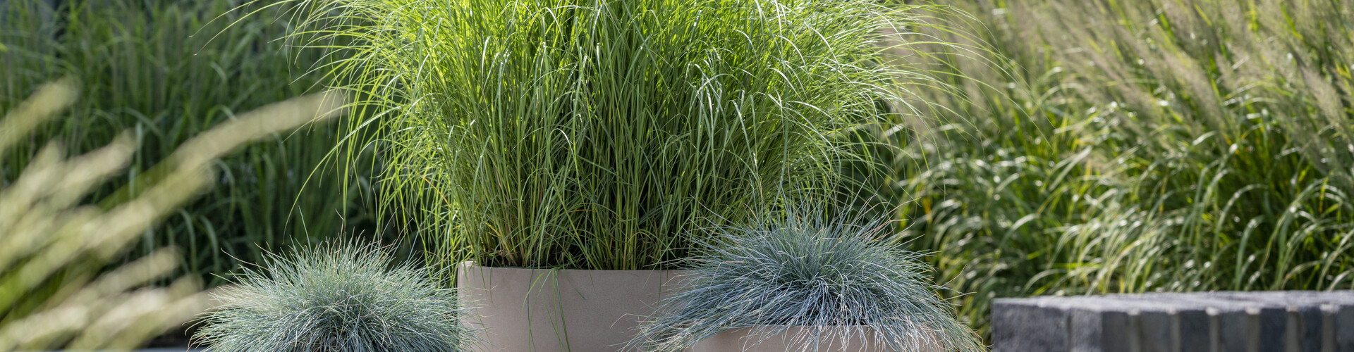 Wat is een polyester plantenbak?
