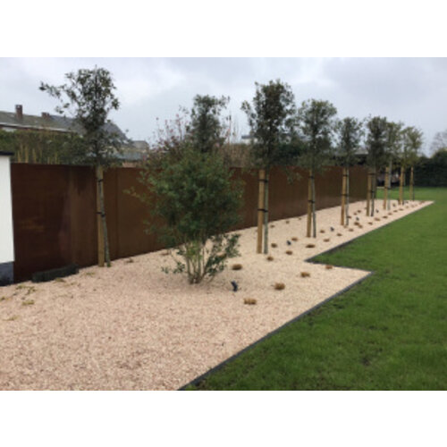 Geroba Cortenstalen paal tbv sfeerpanelen 5x7,5x2,3  cm