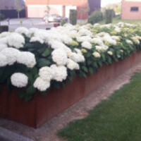 Geroba Cortenstaal keerwand 150x20x75 cm